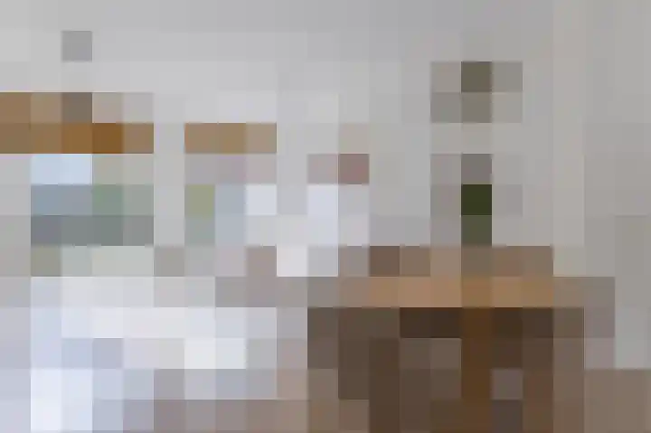 Burgemeester van Roosmalenstraat 6 Uitgeest thumbnail 18