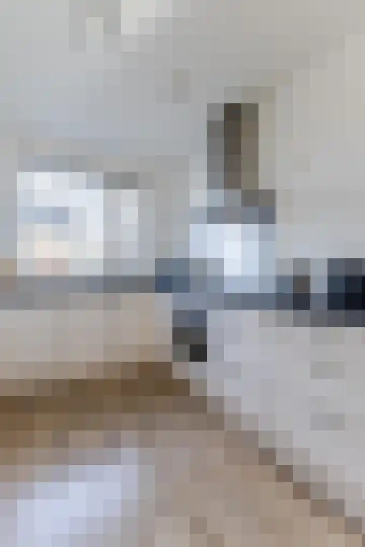 Burgemeester van Roosmalenstraat 6 Uitgeest thumbnail 22