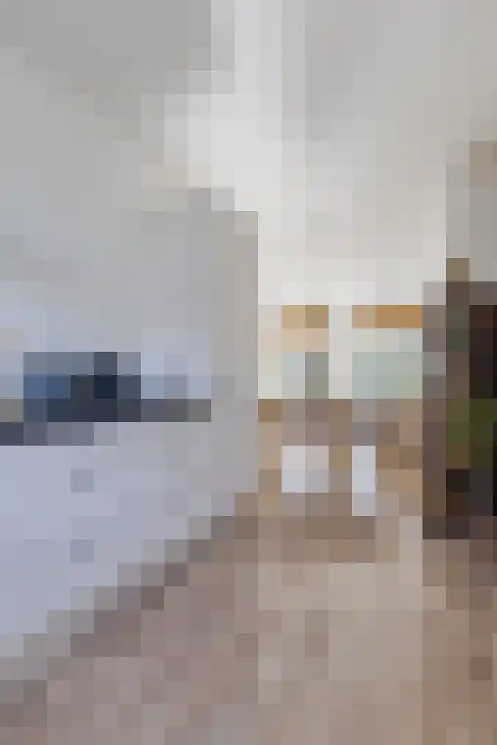 Burgemeester van Roosmalenstraat 6 Uitgeest thumbnail 23