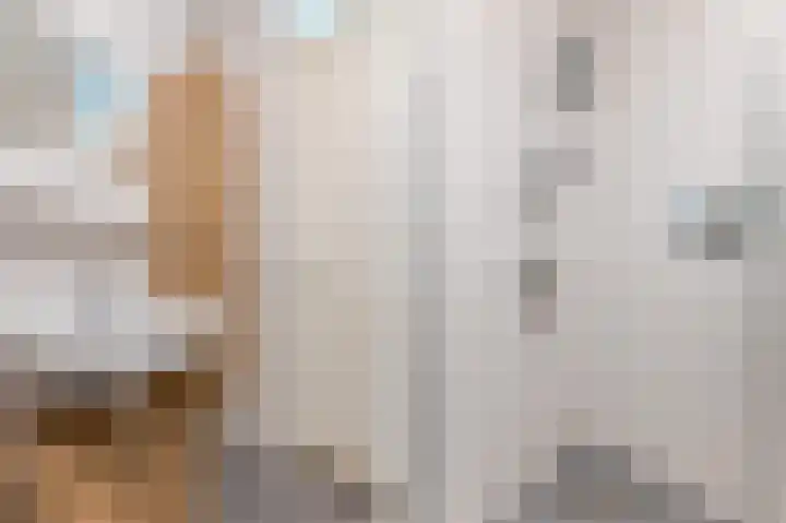 Burgemeester van Roosmalenstraat 6 Uitgeest thumbnail 42