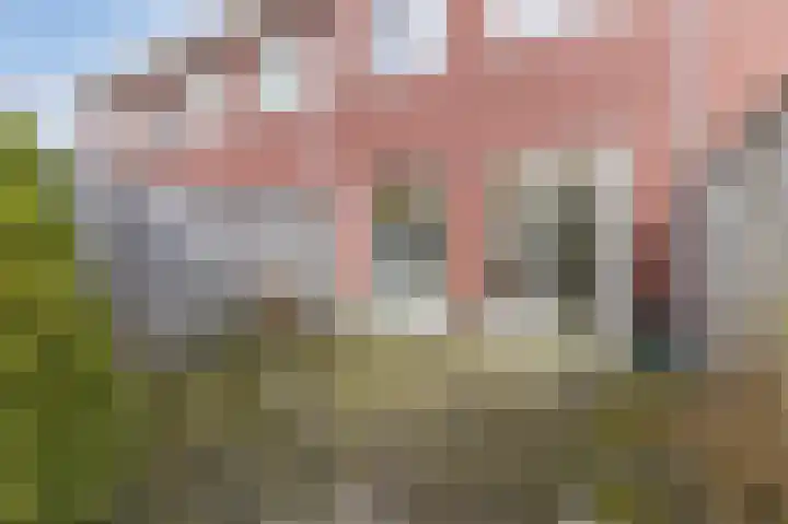Burgemeester van Roosmalenstraat 6 Uitgeest thumbnail 54