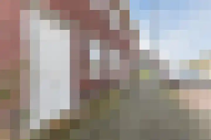 Burgemeester van Roosmalenstraat 6 Uitgeest thumbnail 6