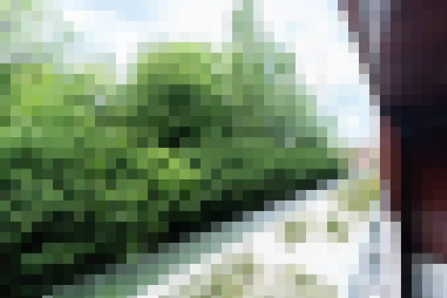Burgemeester van Stamplein 57 Hoofddorp thumbnail 41