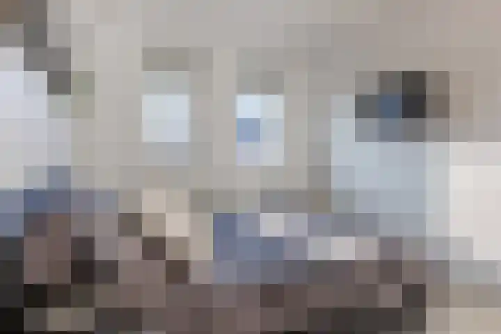 Burgemeester Van Stapelestraat 7 Tholen thumbnail 24