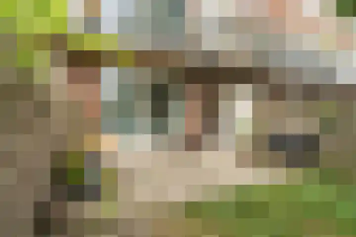 Burgemeester van Tienenweg 10 Diemen thumbnail 21