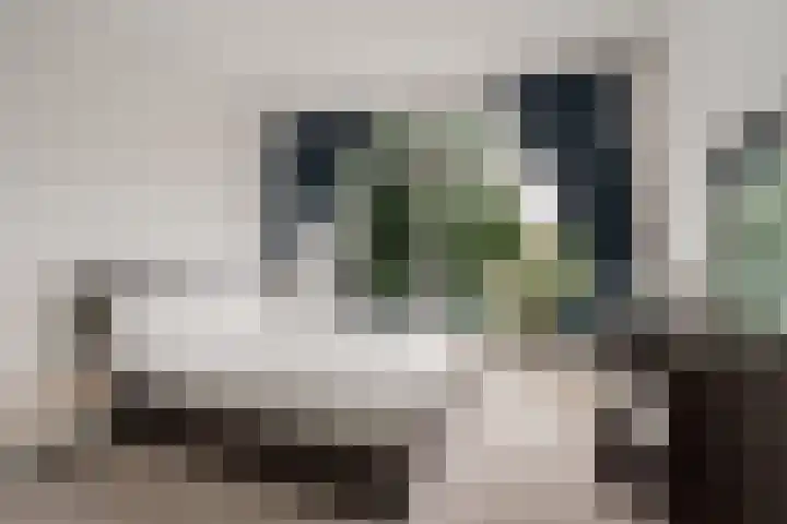Burgemeester van Tienenweg 10 Diemen thumbnail 5