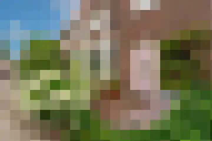 Burgemeester van Tienenweg 29 Diemen thumbnail 6