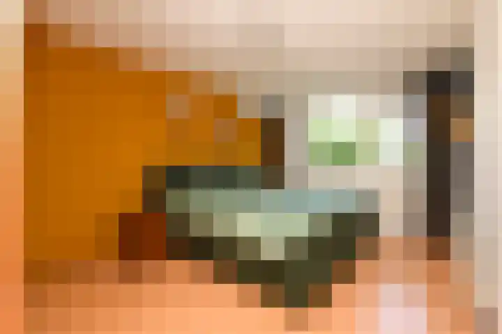 Burgemeester van Trichtlaan 120 Wilnis thumbnail 17