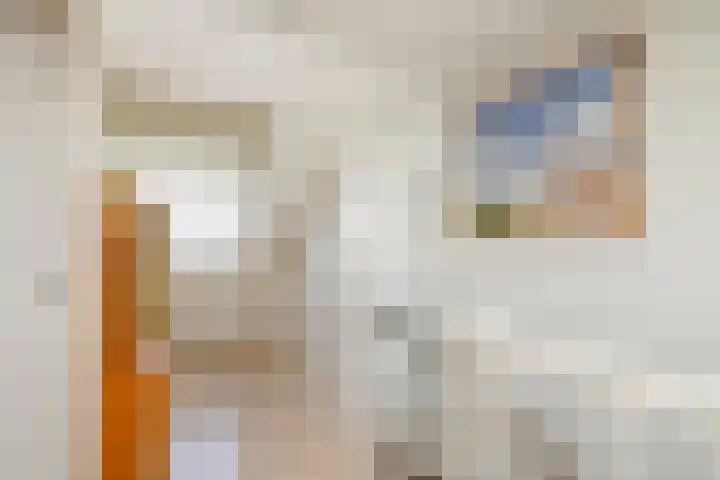 Burgemeester van Trichtlaan 120 Wilnis thumbnail 25