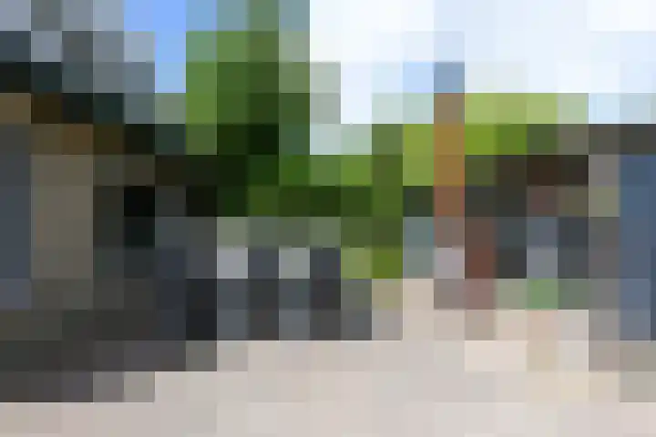 Burgemeester van Trichtlaan 120 Wilnis thumbnail 31
