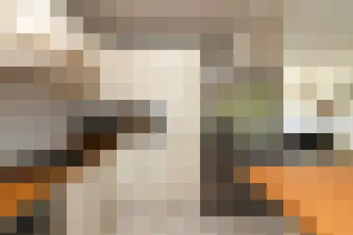 Burgemeester van Trichtlaan 120 Wilnis thumbnail 4