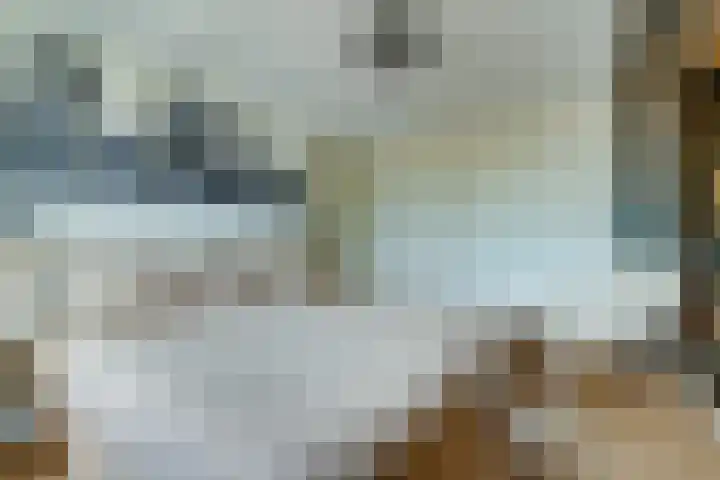 Burgemeester van Trichtlaan 2 Wilnis thumbnail 28