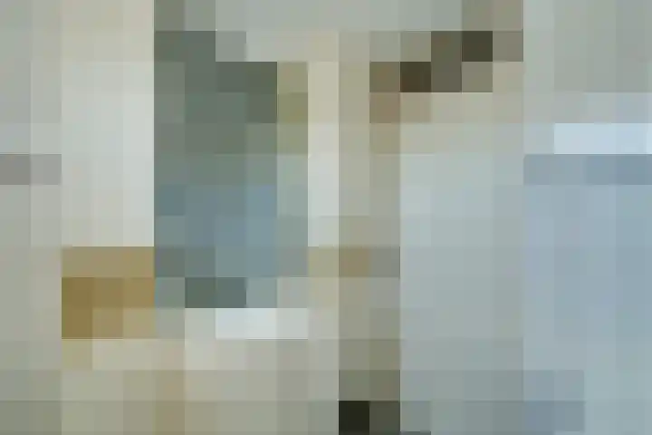Burgemeester van Trichtlaan 2 Wilnis thumbnail 35