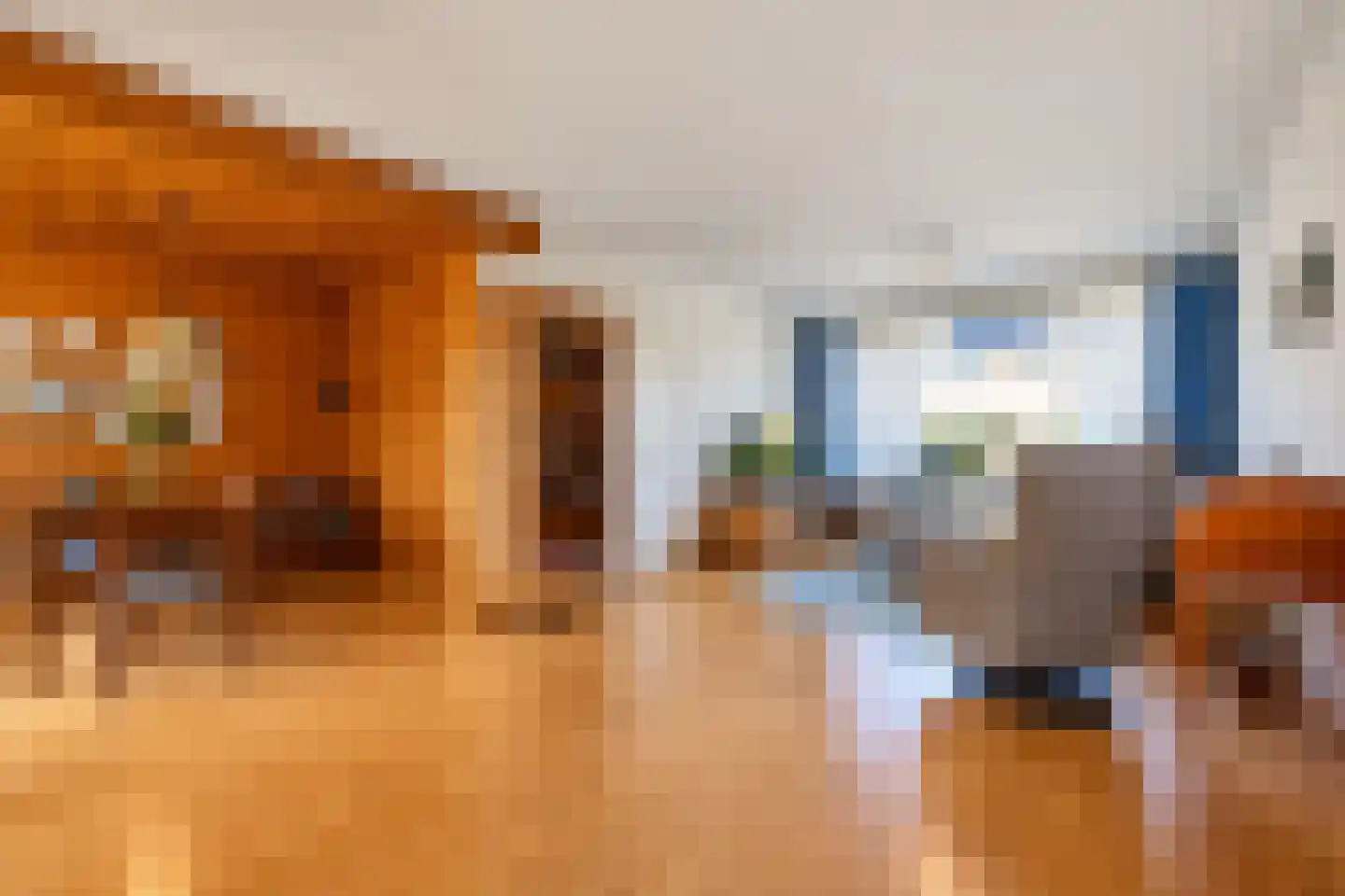 Burgemeester van Trichtlaan 61 Wilnis thumbnail 7