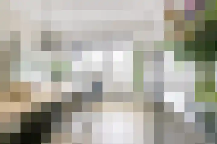 Burgemeester van Tuyllkade 103 BS Utrecht thumbnail 13