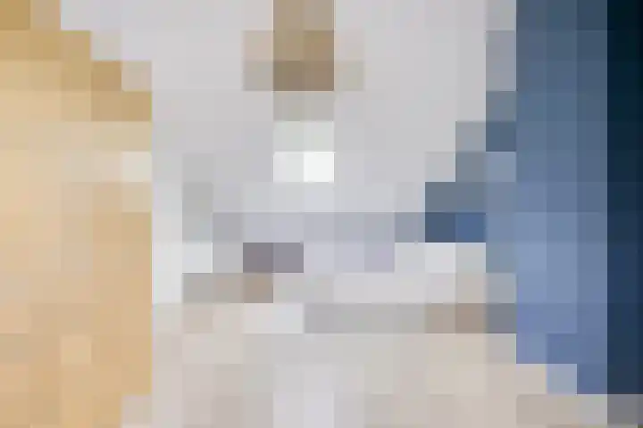 Burgemeester van Tuyllkade 103 BS Utrecht thumbnail 30