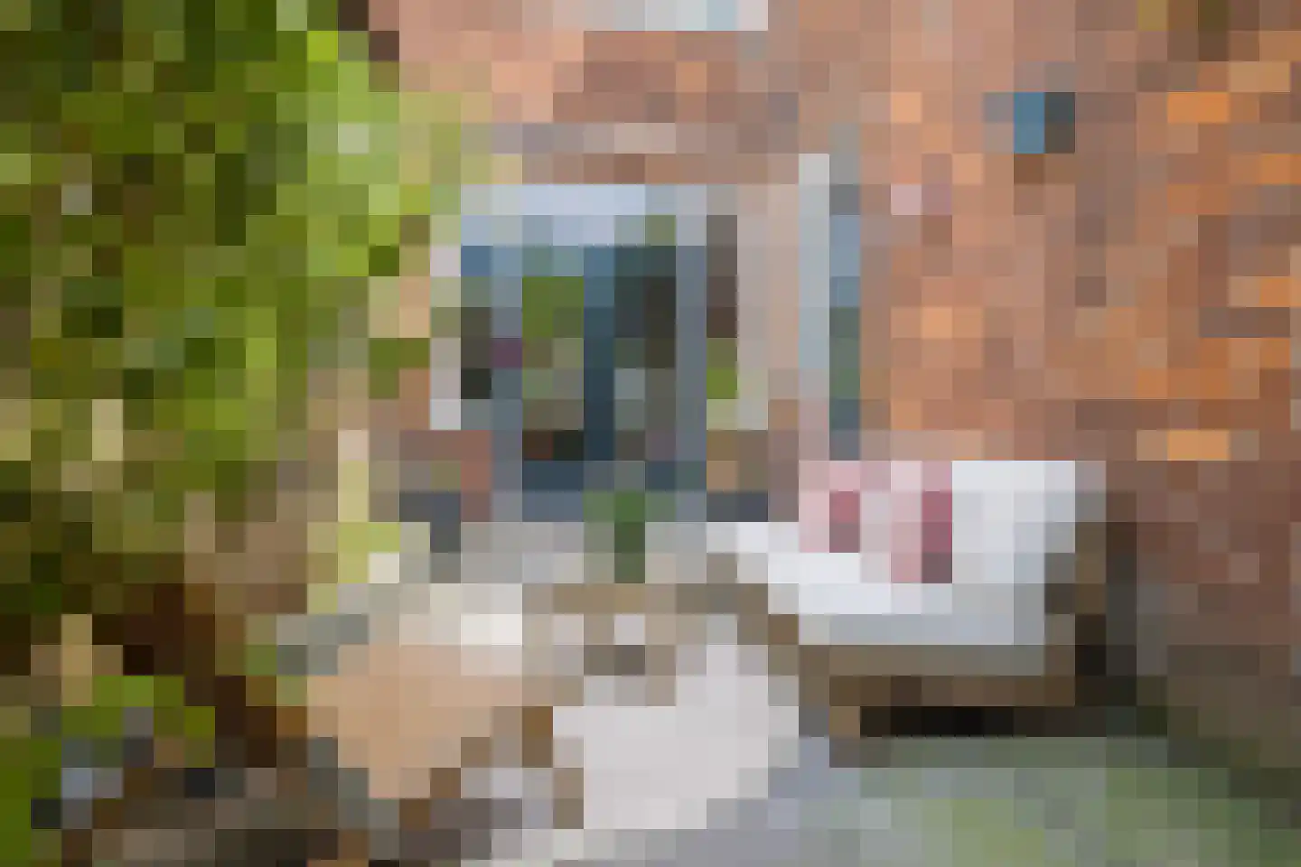 Burgemeester van Tuyllkade 114 Utrecht thumbnail 29