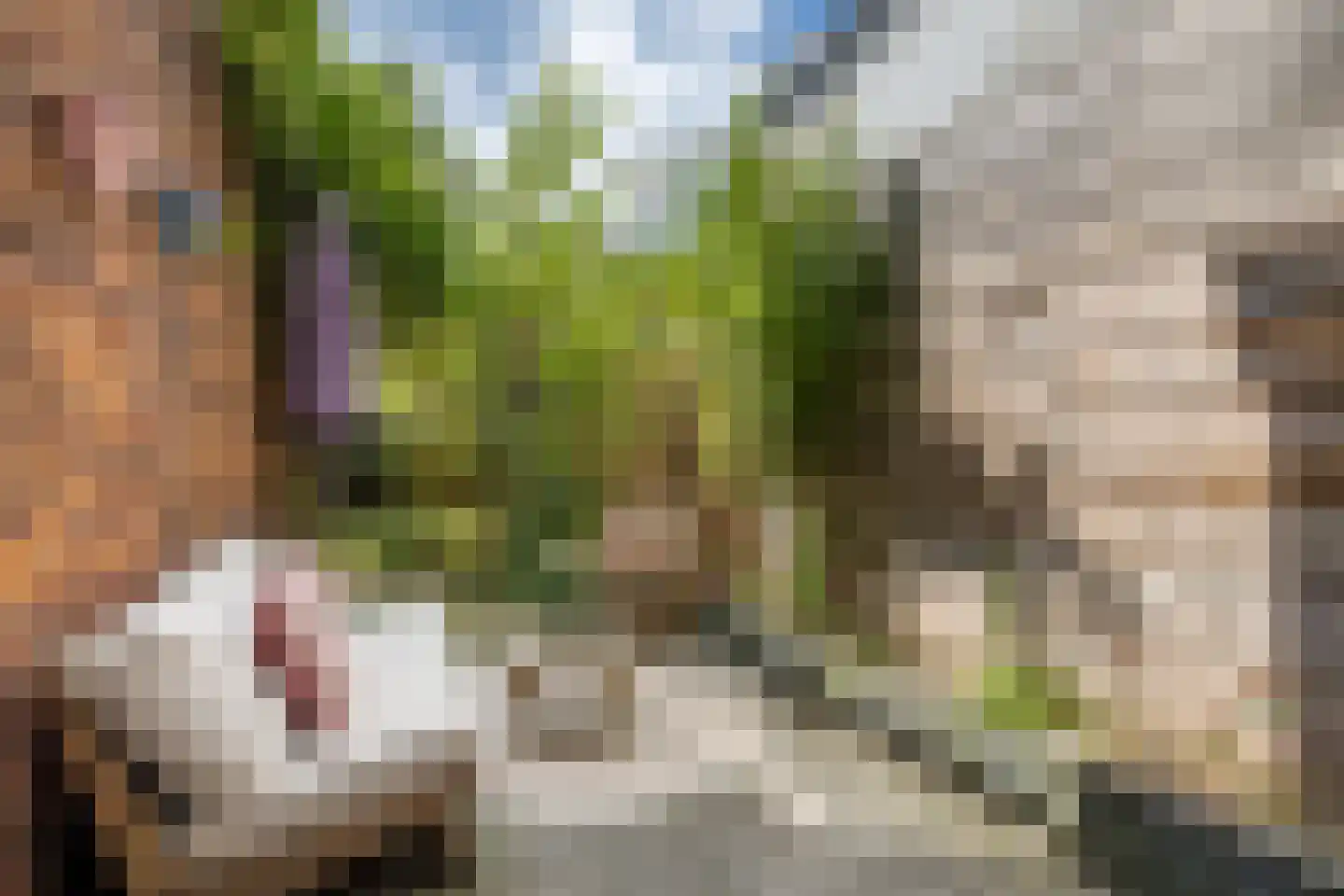 Burgemeester van Tuyllkade 114 Utrecht thumbnail 4
