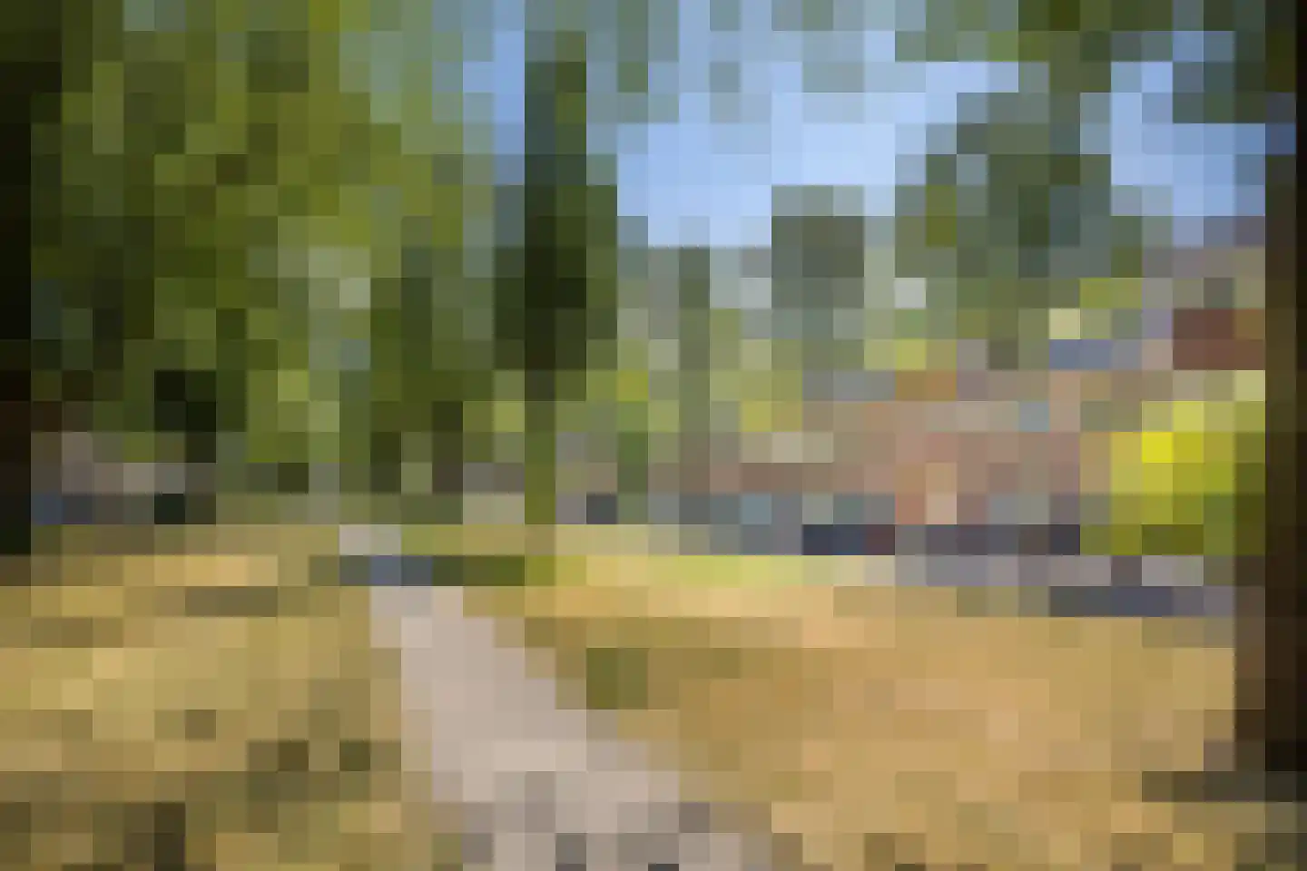 Burgemeester van Tuyllkade 114 Utrecht thumbnail 5