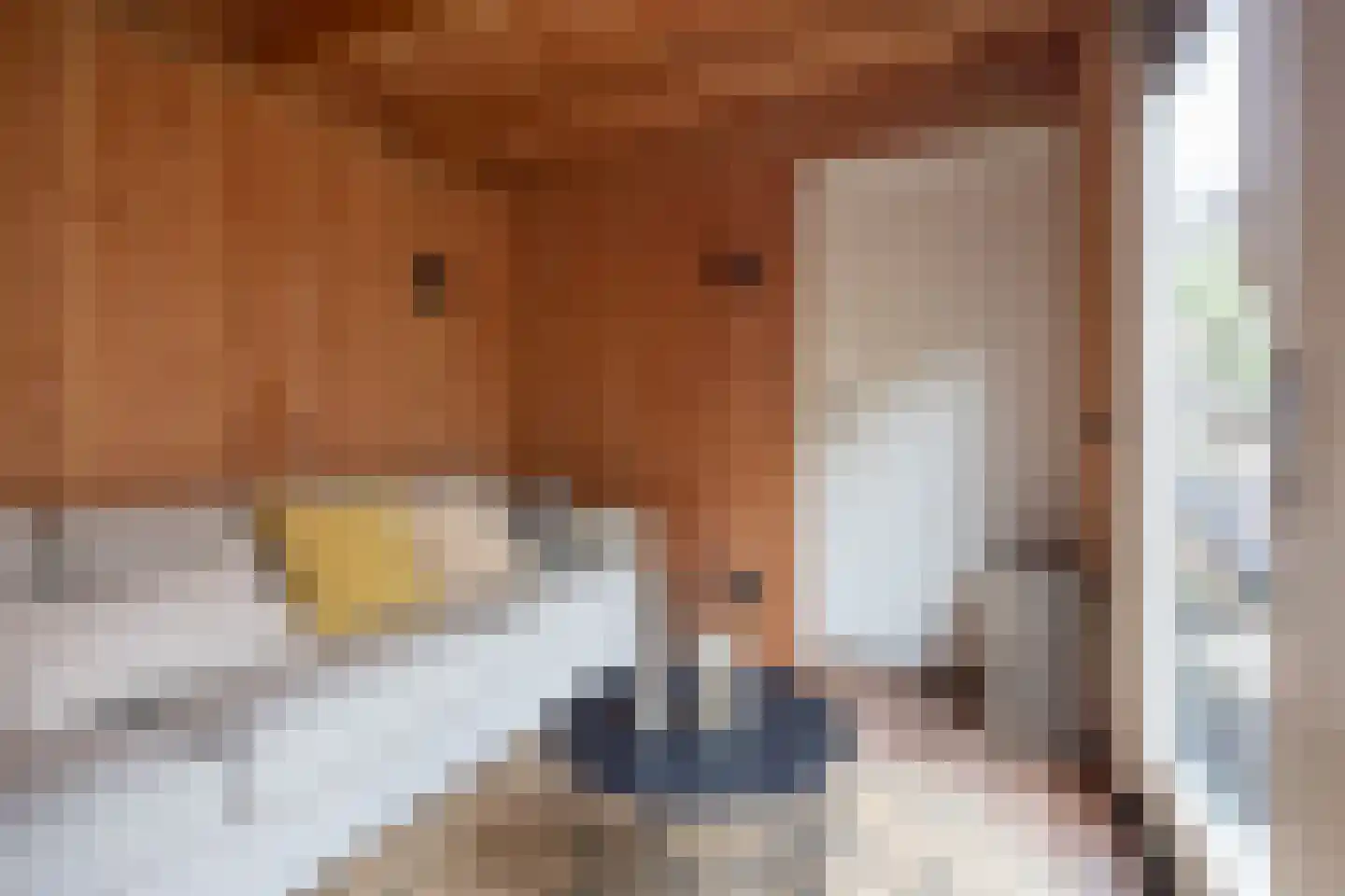Burgemeester van Tuyllkade 116 Utrecht thumbnail 29