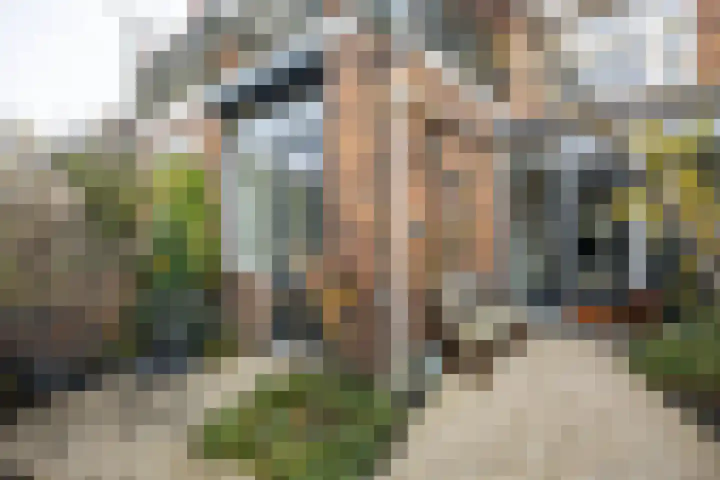Burgemeester van Tuyllkade 116 Utrecht thumbnail 31