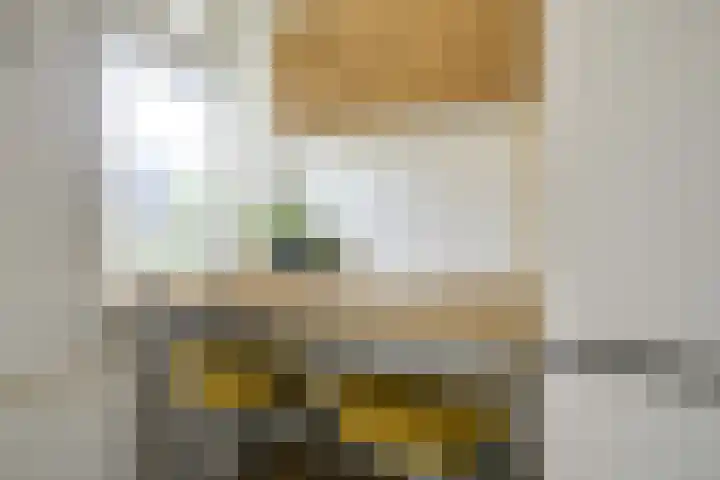 Burgemeester van Tuyllkade 121 Utrecht thumbnail 16