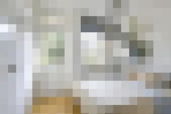 Burgemeester van Tuyllkade 121 Utrecht thumbnail 23