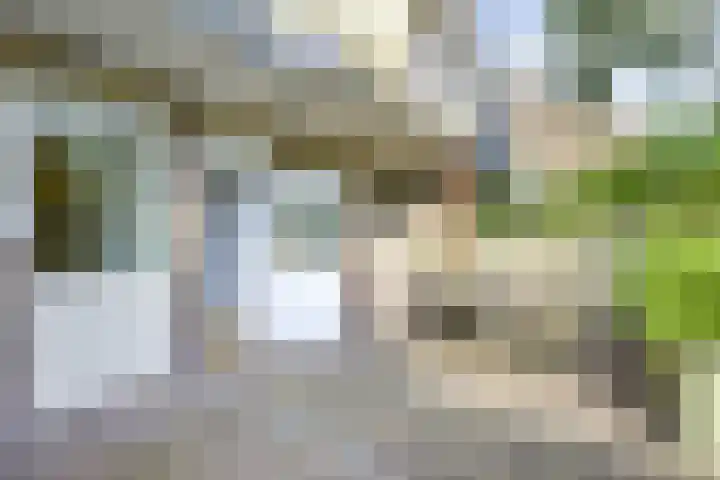 Burgemeester van Tuyllkade 121 Utrecht thumbnail 26