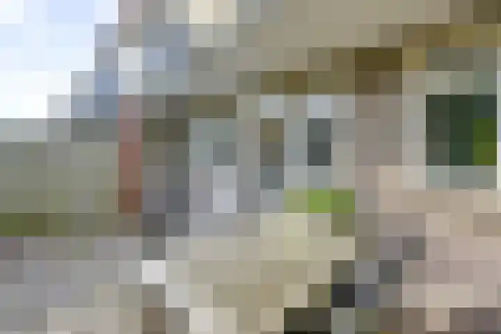 Burgemeester van Tuyllkade 121 Utrecht thumbnail 27
