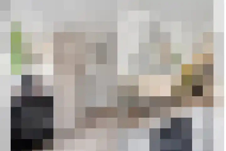 Burgemeester van Tuyllkade 123 Utrecht thumbnail 14