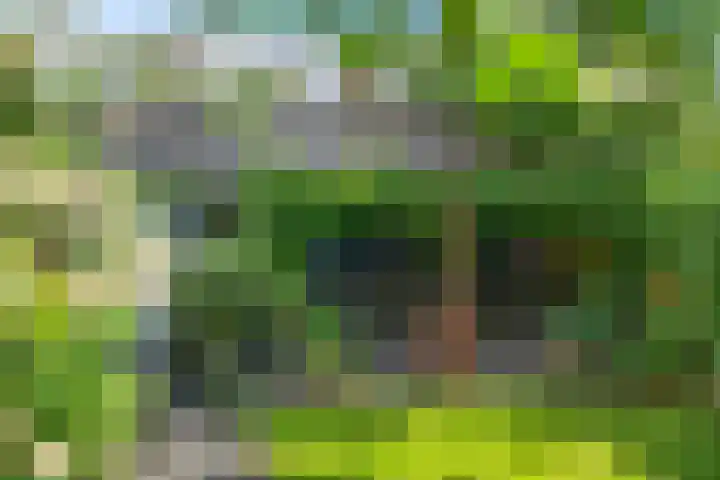Burgemeester van Tuyllkade 123 Utrecht thumbnail 21