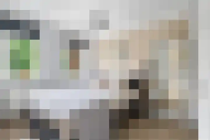 Burgemeester van Tuyllkade 123 Utrecht thumbnail 27
