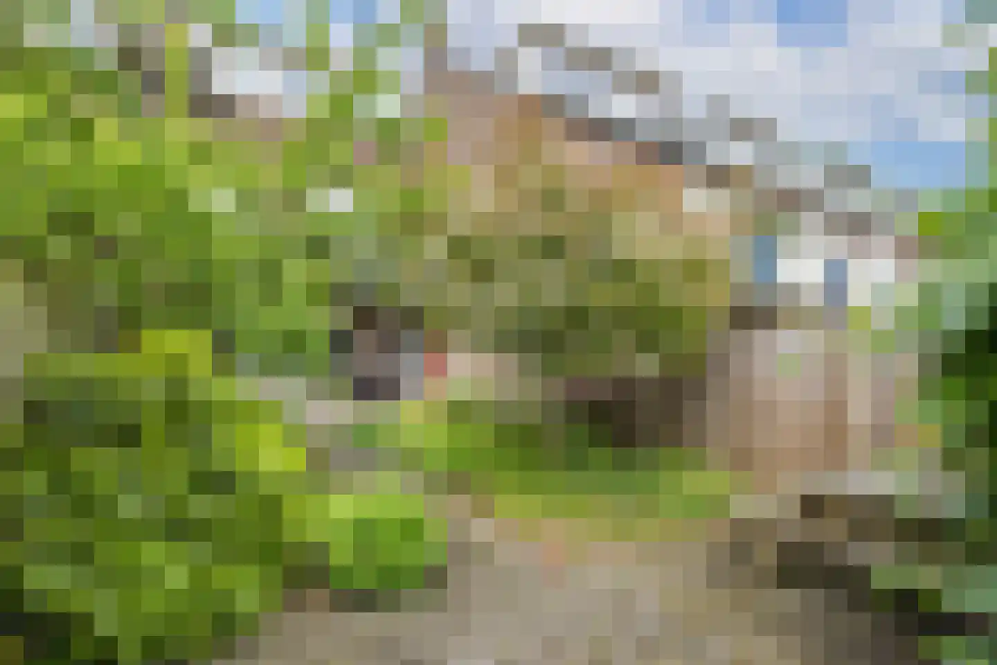 Burgemeester van Tuyllkade 125 Utrecht thumbnail 25