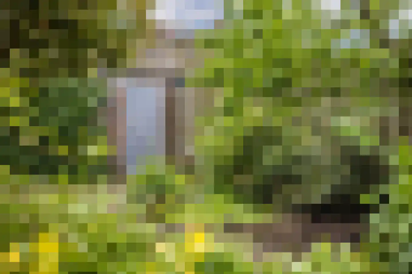 Burgemeester van Tuyllkade 125 Utrecht thumbnail 35