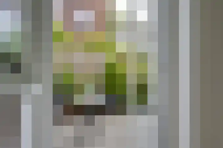 Burgemeester van Tuyllkade 128 Utrecht thumbnail 26