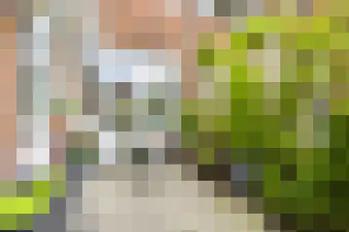 Burgemeester van Tuyllkade 128 Utrecht thumbnail 27