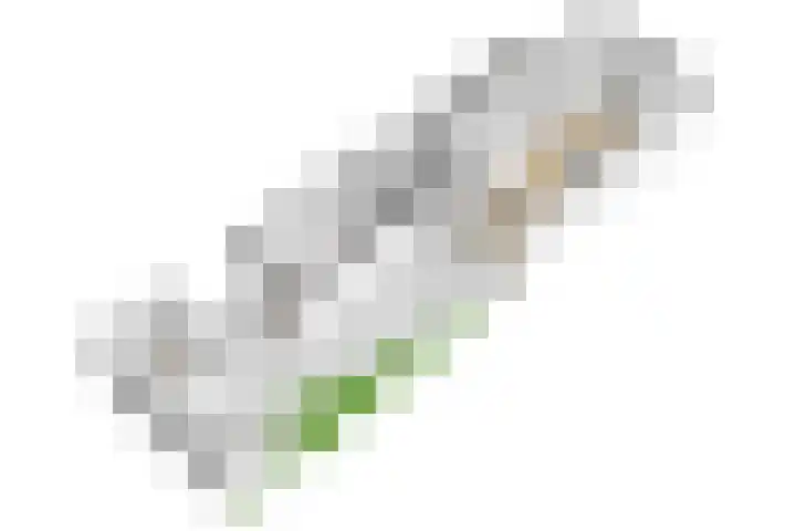 Burgemeester van Tuyllkade 128 Utrecht thumbnail 38