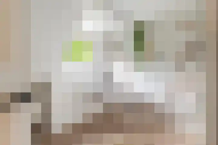 Burgemeester van Tuyllkade 132 BS Utrecht thumbnail 33
