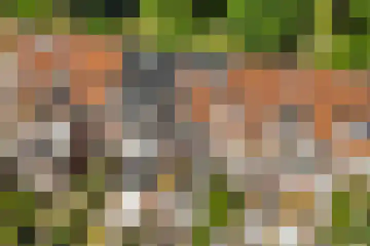 Burgemeester van Tuyllkade 132 BS Utrecht thumbnail 40