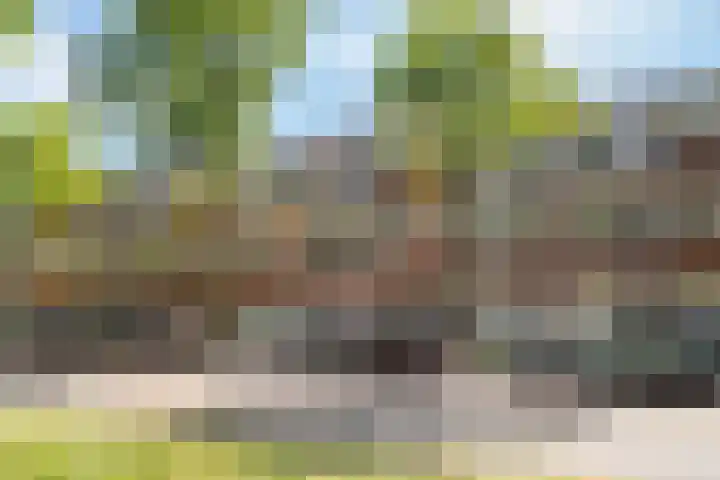 Burgemeester van Tuyllkade 132 BS Utrecht thumbnail 5