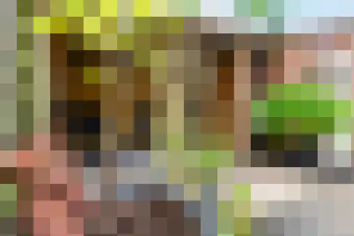 Burgemeester van Tuyllkade 132 Utrecht thumbnail 10