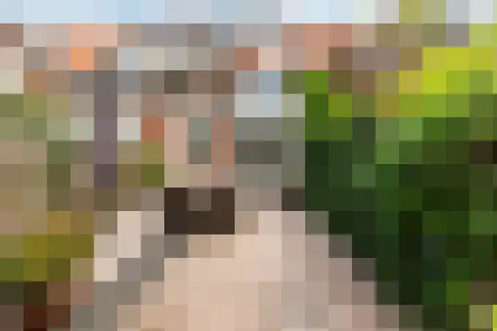 Burgemeester van Tuyllkade 132 Utrecht thumbnail 11