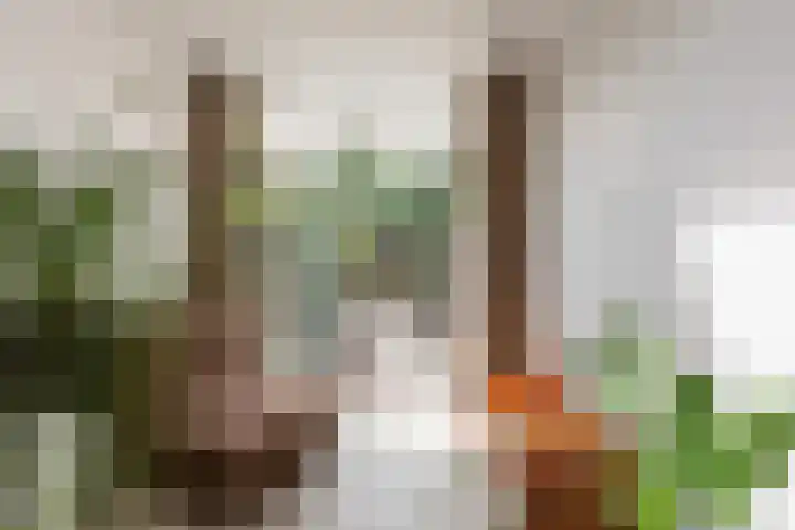 Burgemeester van Tuyllkade 132 Utrecht thumbnail 7