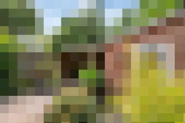 Burgemeester van Tuyllkade 132 Utrecht thumbnail 9