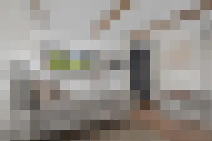 Burgemeester van Tuyllkade 17 BS Utrecht thumbnail 4