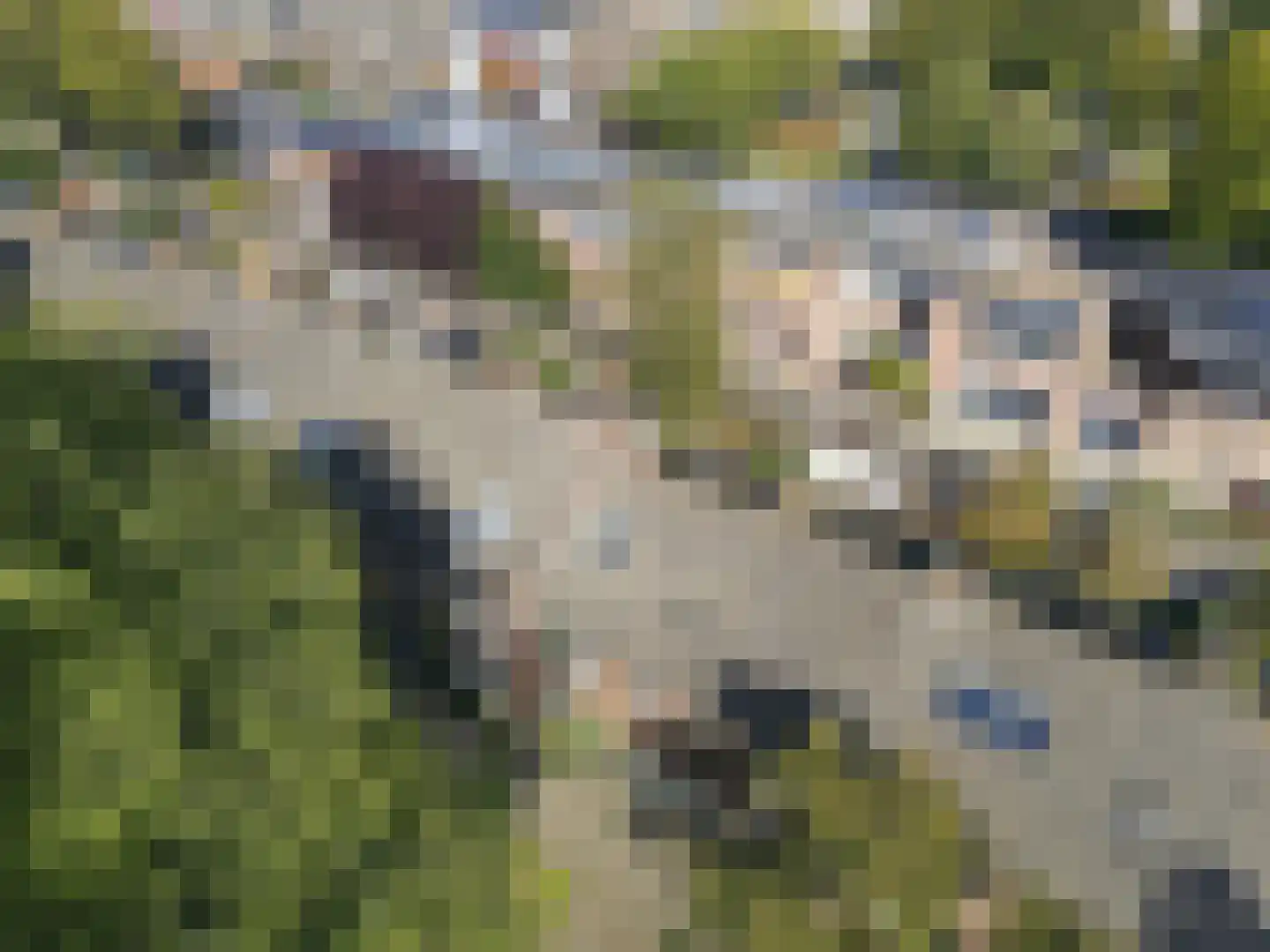Burgemeester van Tuyllkade 19 Utrecht thumbnail 25
