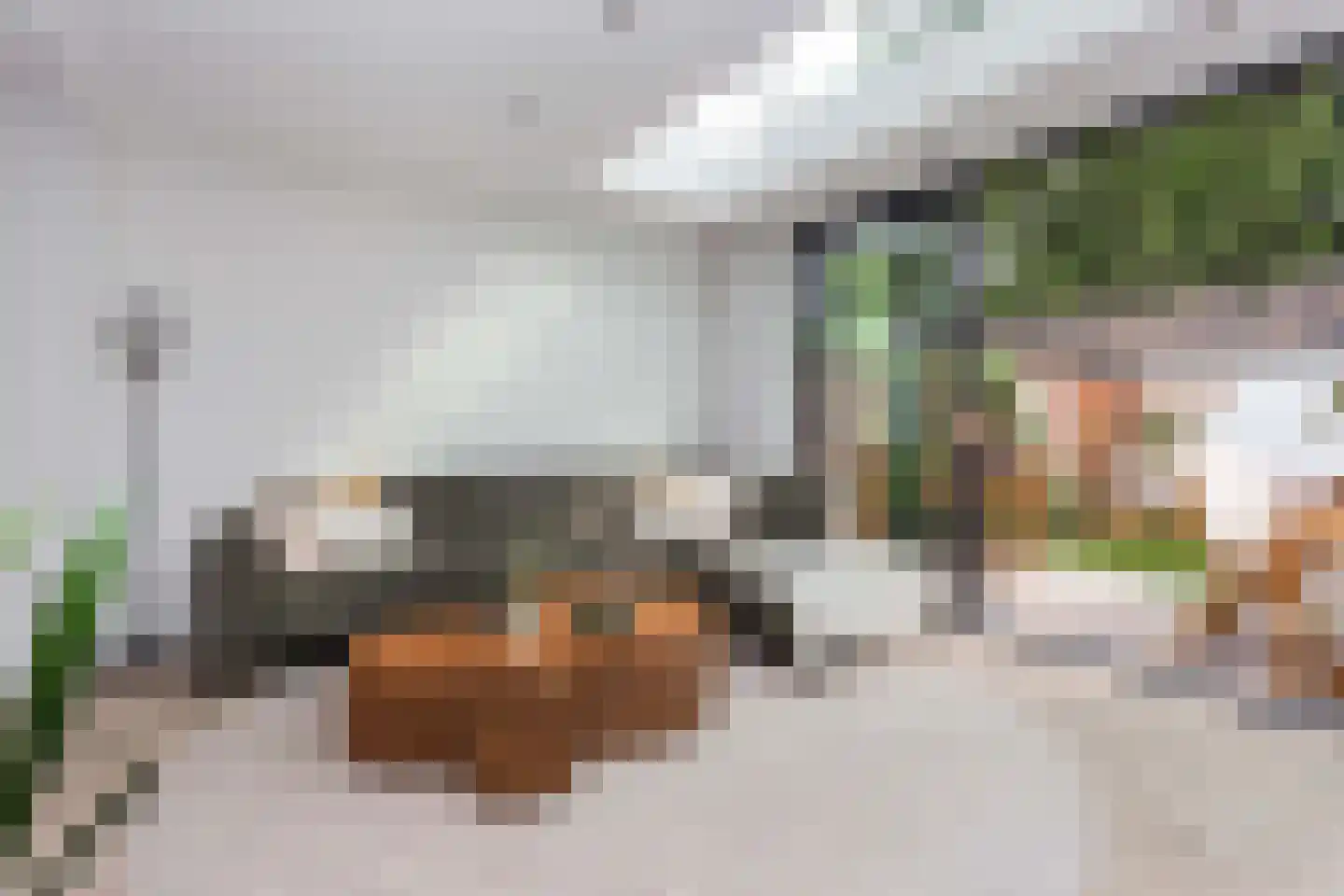 Burgemeester van Tuyllkade 3 Utrecht thumbnail 23