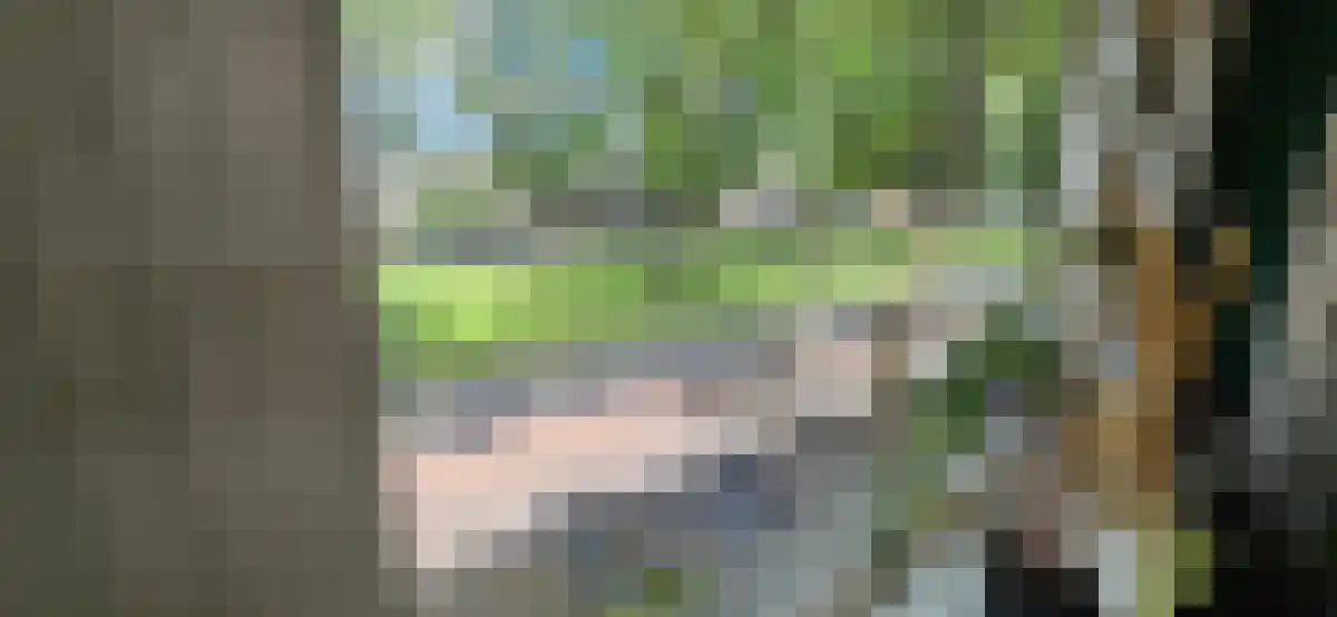 Burgemeester van Tuyllkade 54 Utrecht thumbnail 5