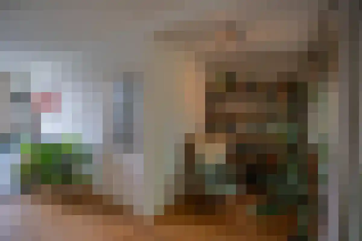 Burgemeester van Tuyllkade 54 Utrecht thumbnail 6