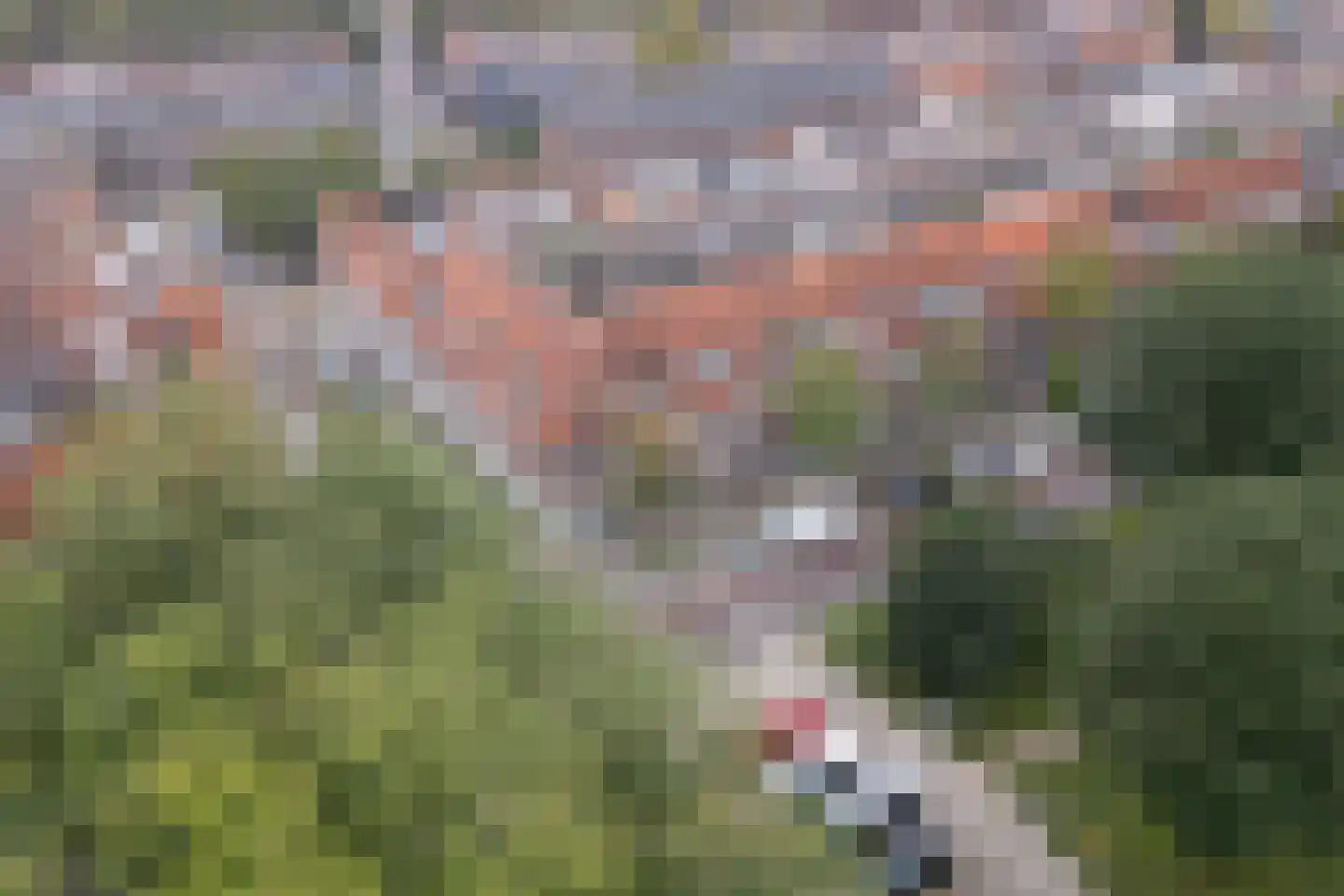 Burgemeester van Tuyllkade 62 BS Utrecht thumbnail 59